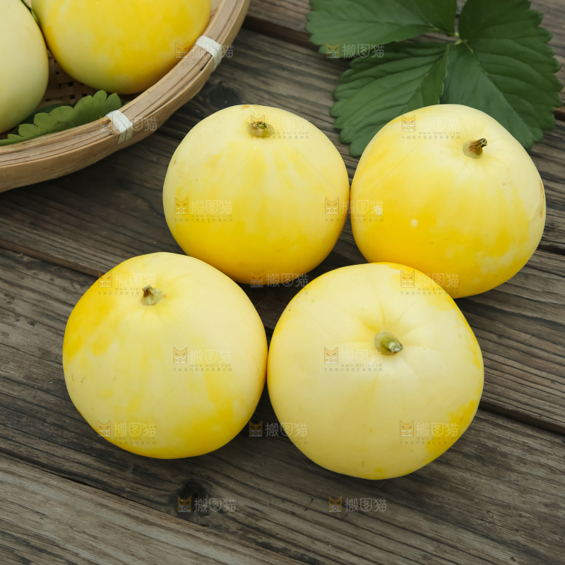小蜜蜂甜瓜