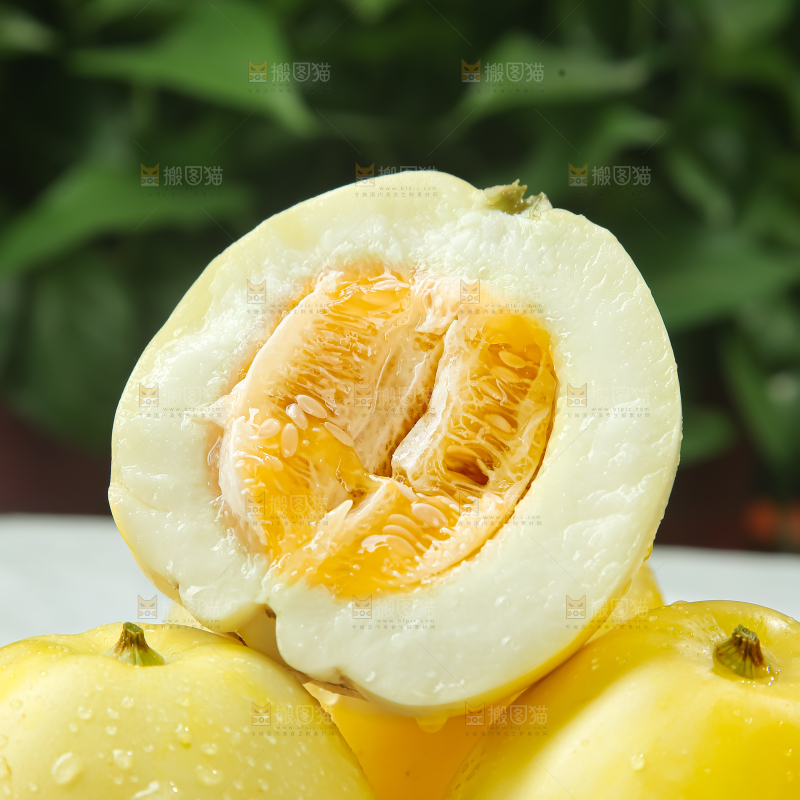 小蜜蜂甜瓜