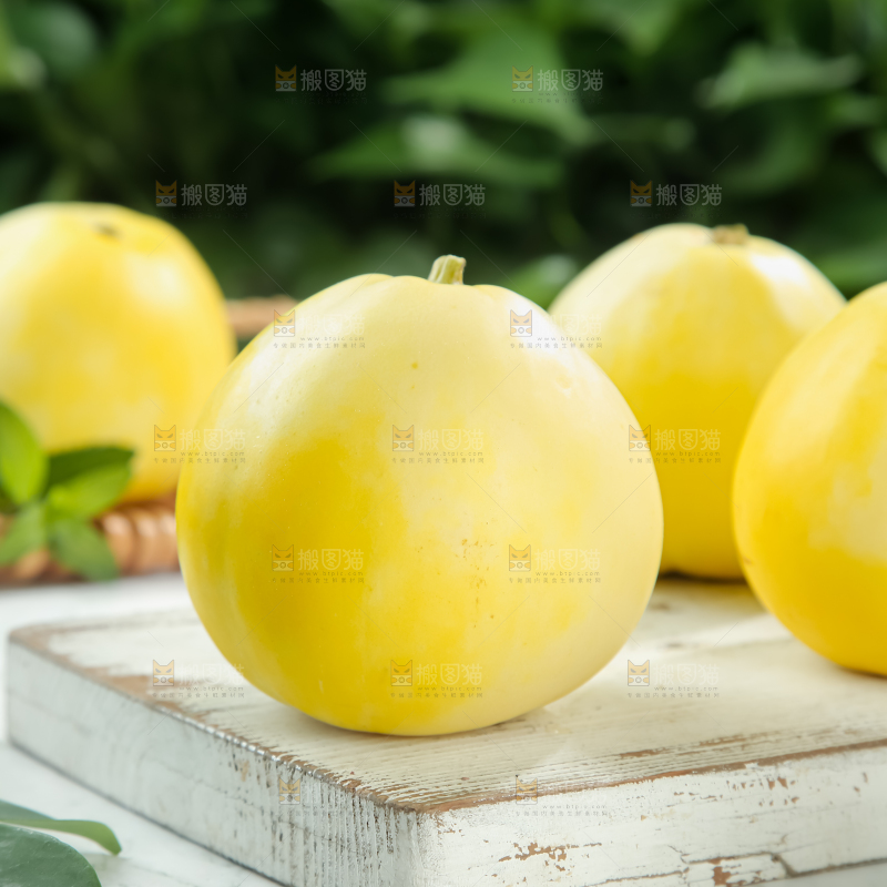 小蜜蜂甜瓜