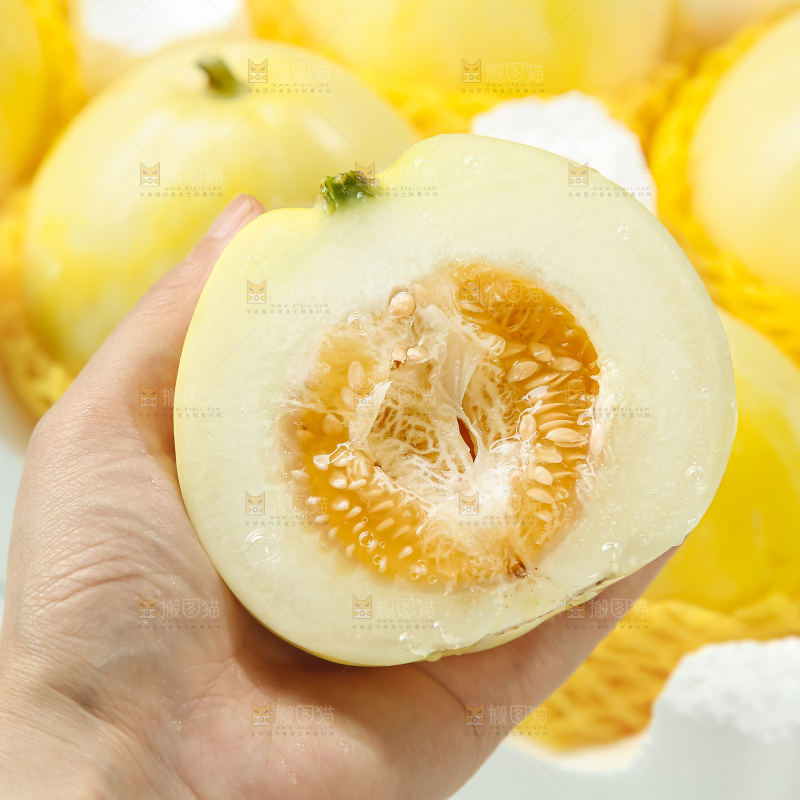 小蜜蜂甜瓜