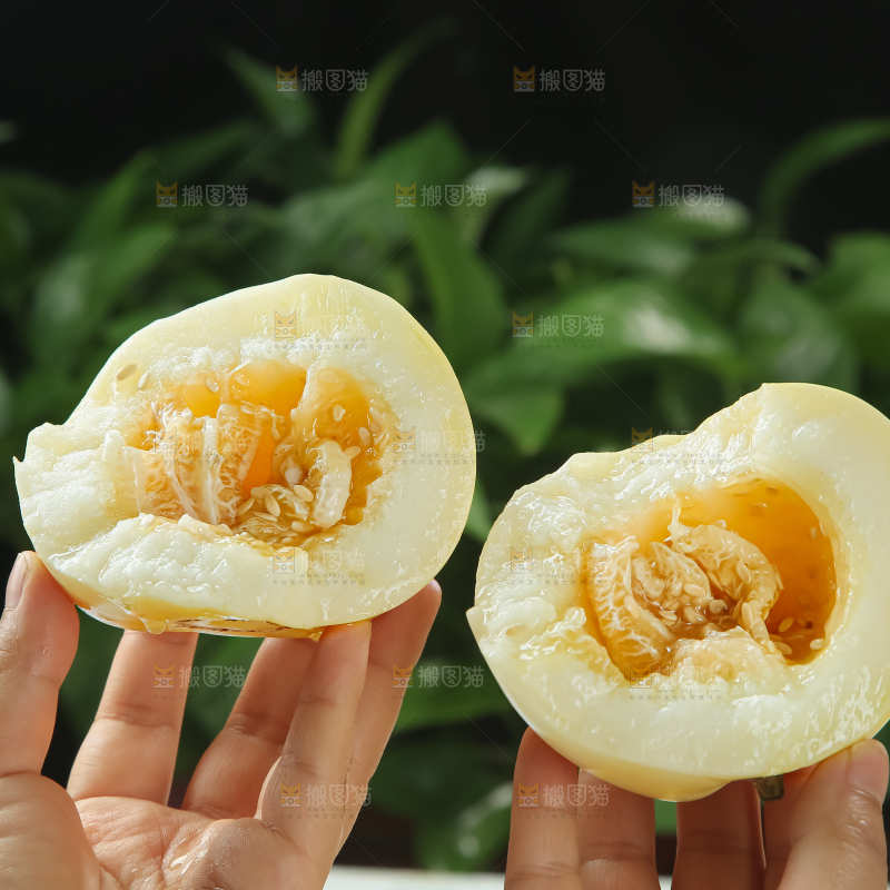 小蜜蜂甜瓜