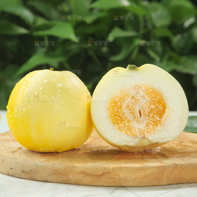 小蜜蜂甜瓜