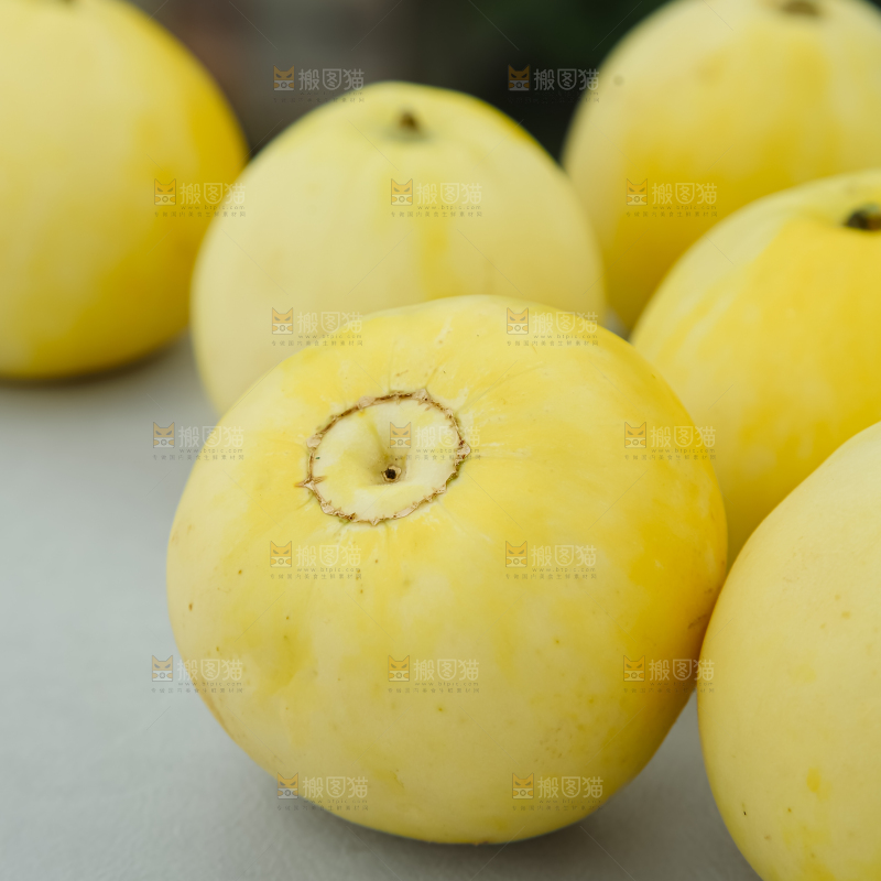 小蜜蜂甜瓜