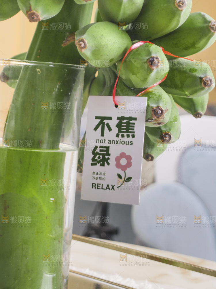 水培香蕉