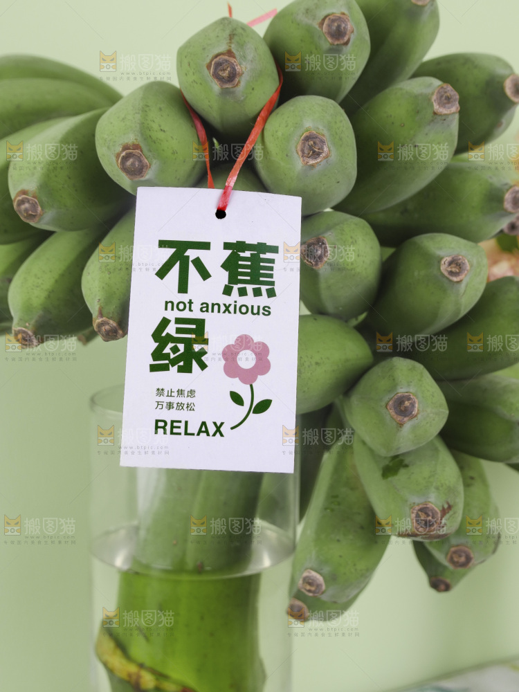 水培香蕉