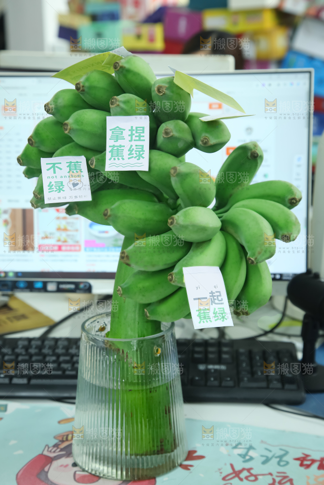 水培香蕉