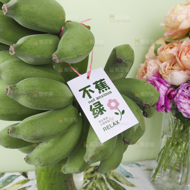水培香蕉