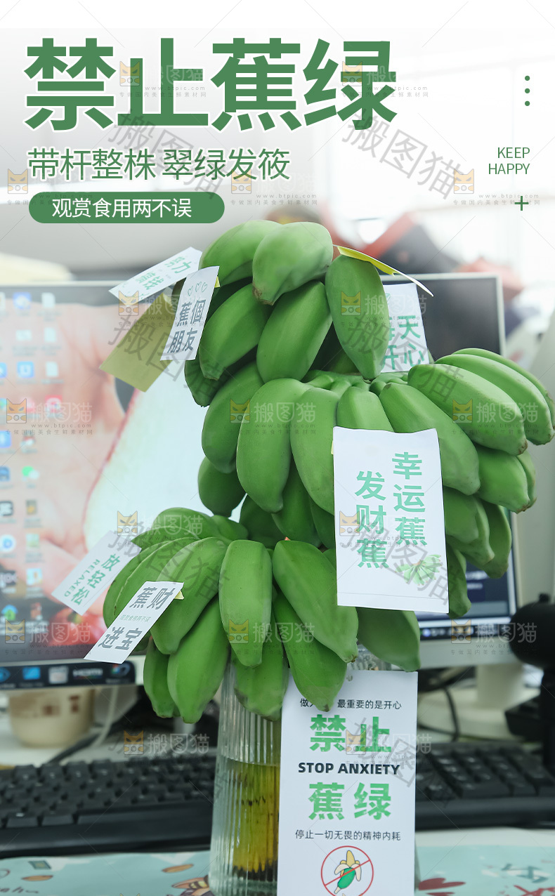水培香蕉详情页