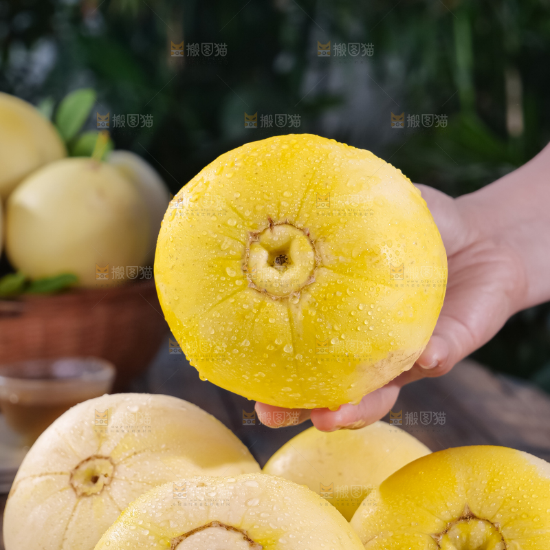 小蜜蜂甜瓜