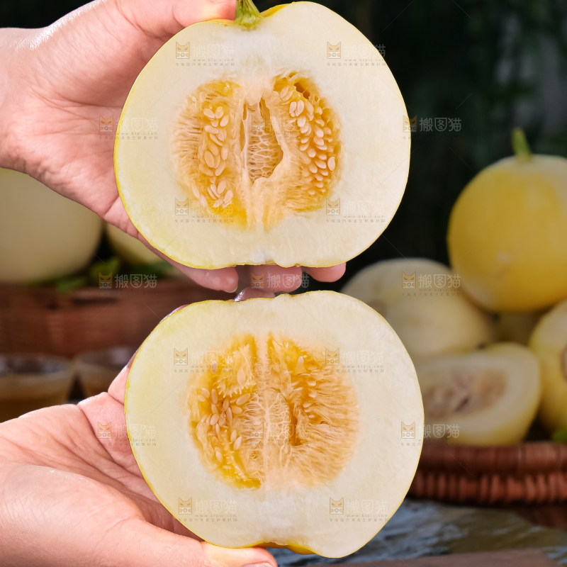 小蜜蜂甜瓜