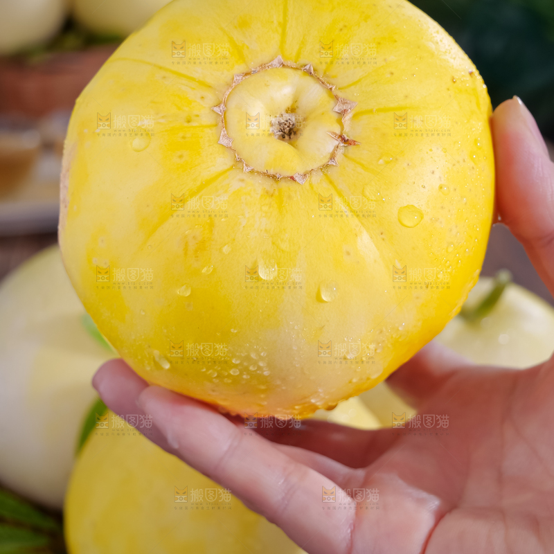 小蜜蜂甜瓜