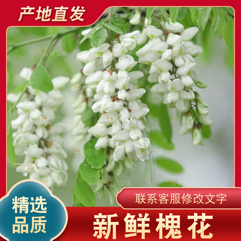 槐花