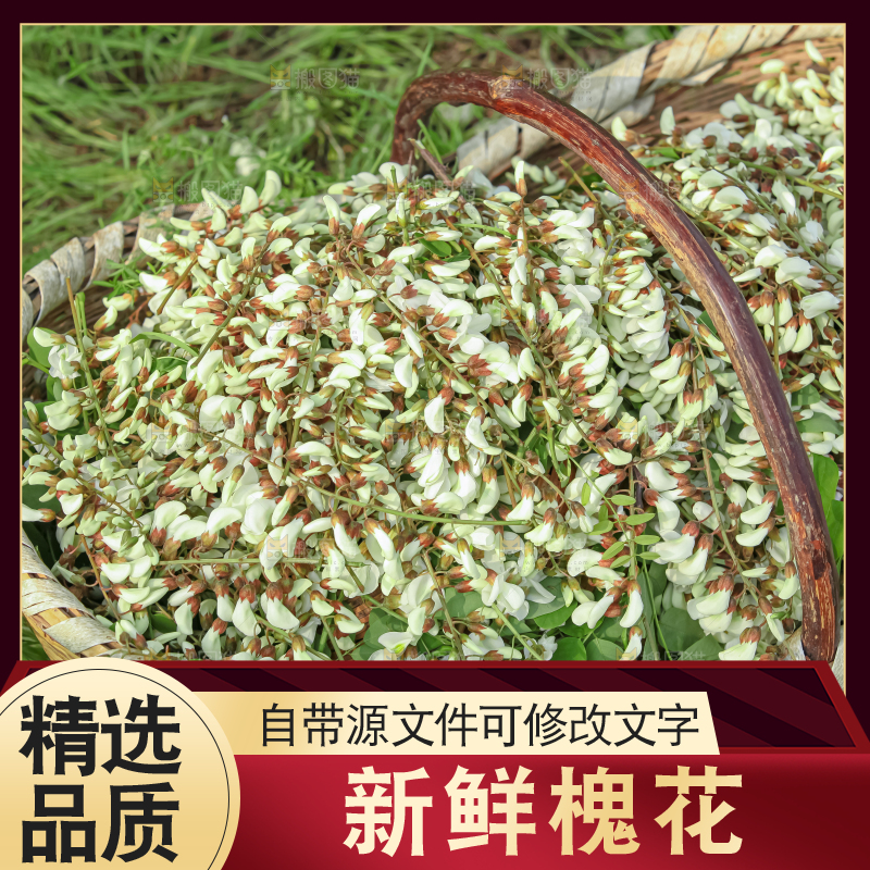 槐花