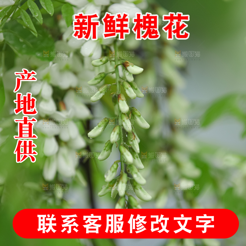 槐花
