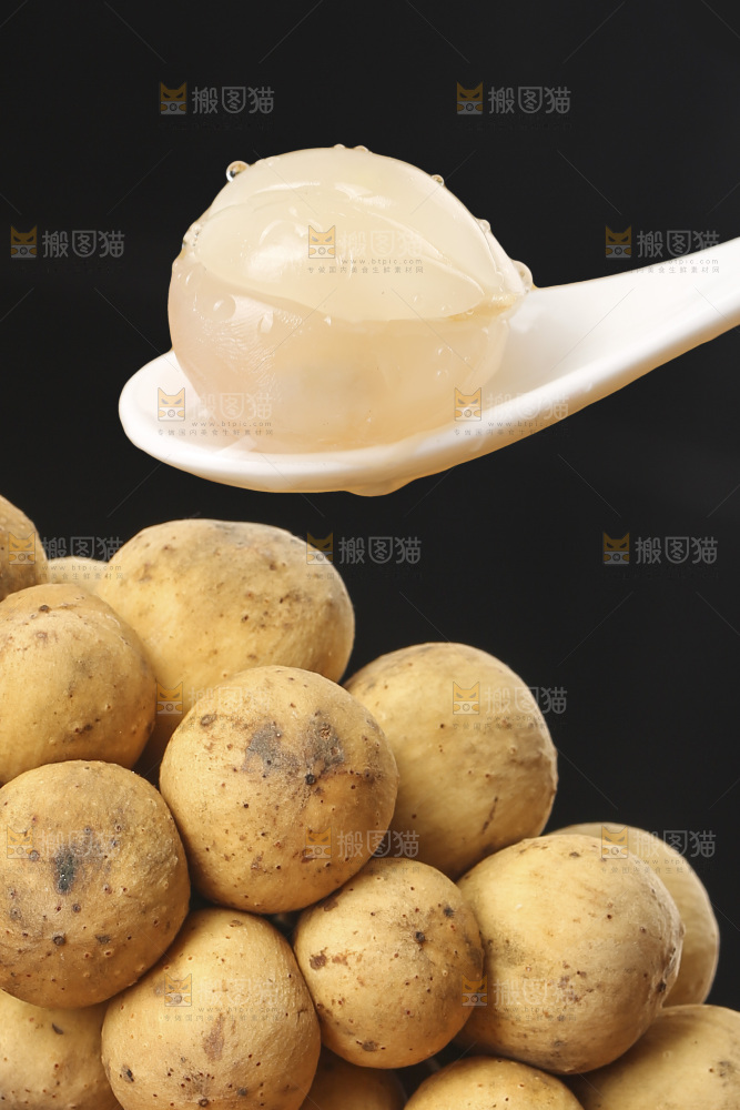 龙宫果