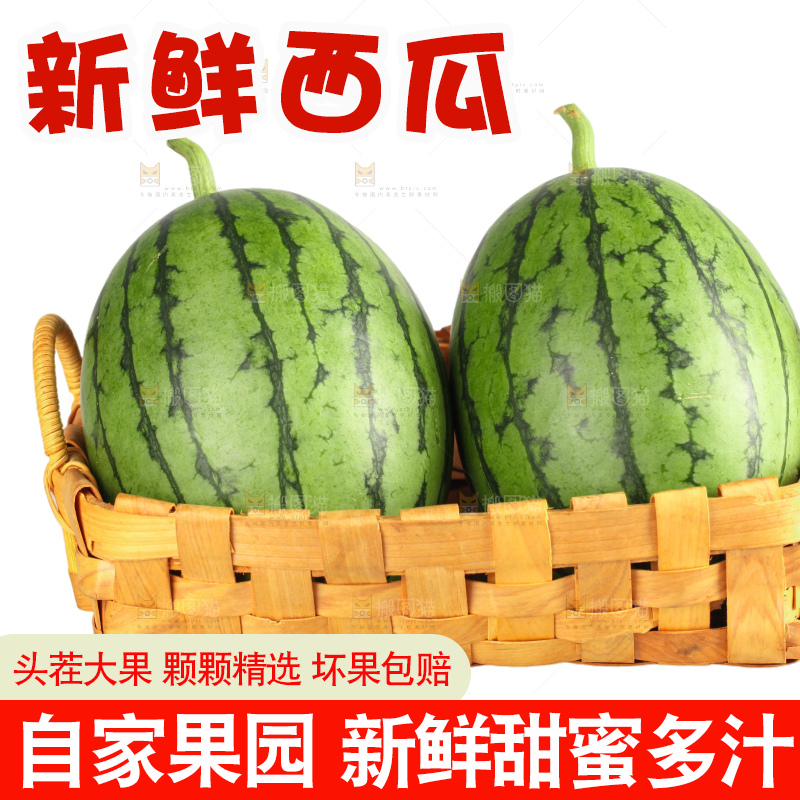 西瓜