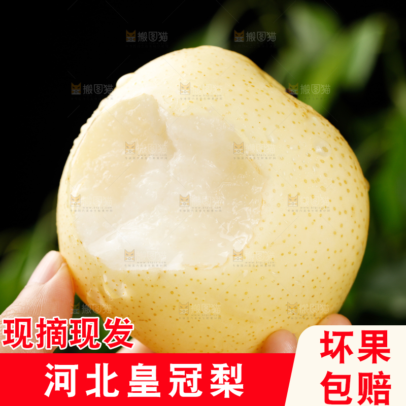 皇冠梨
