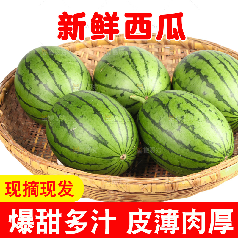 西瓜
