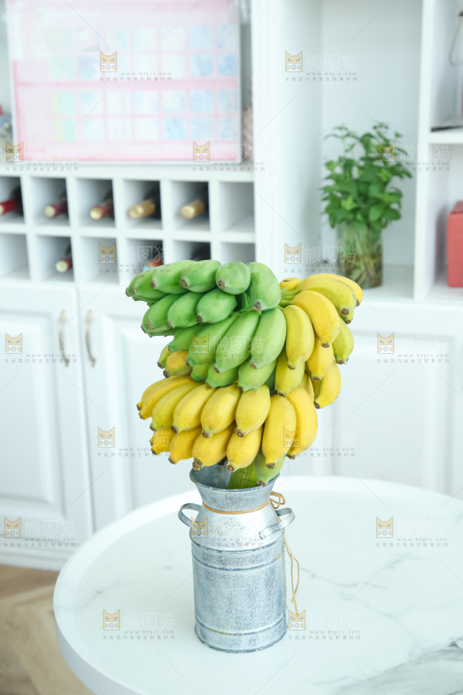 水培香蕉