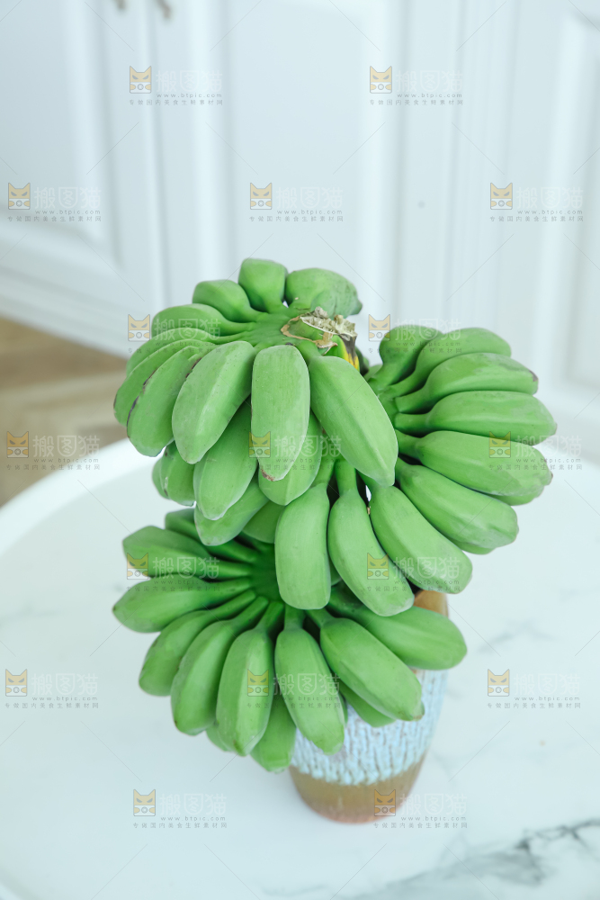 水培香蕉