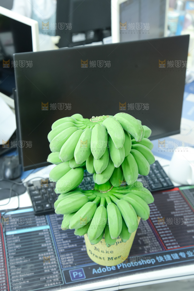 水培香蕉