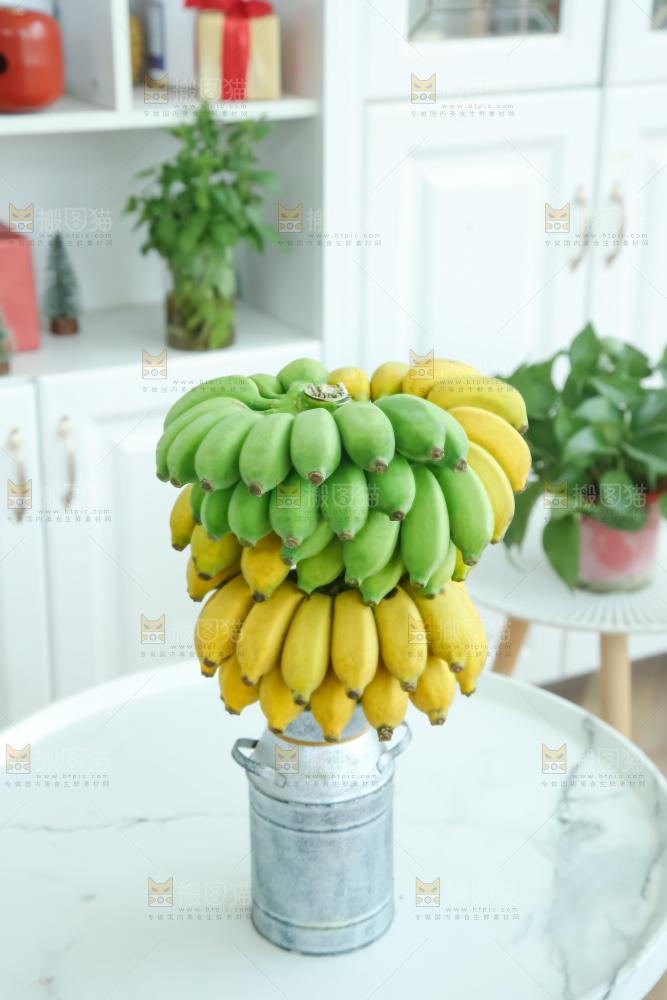 水培香蕉
