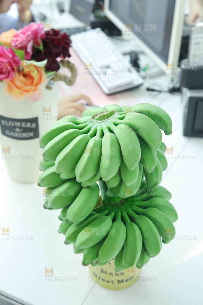 水培香蕉