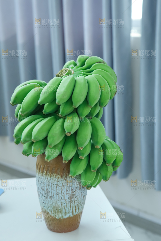水培香蕉