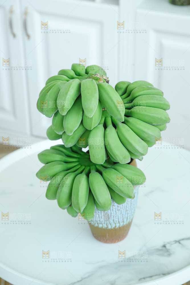 水培香蕉