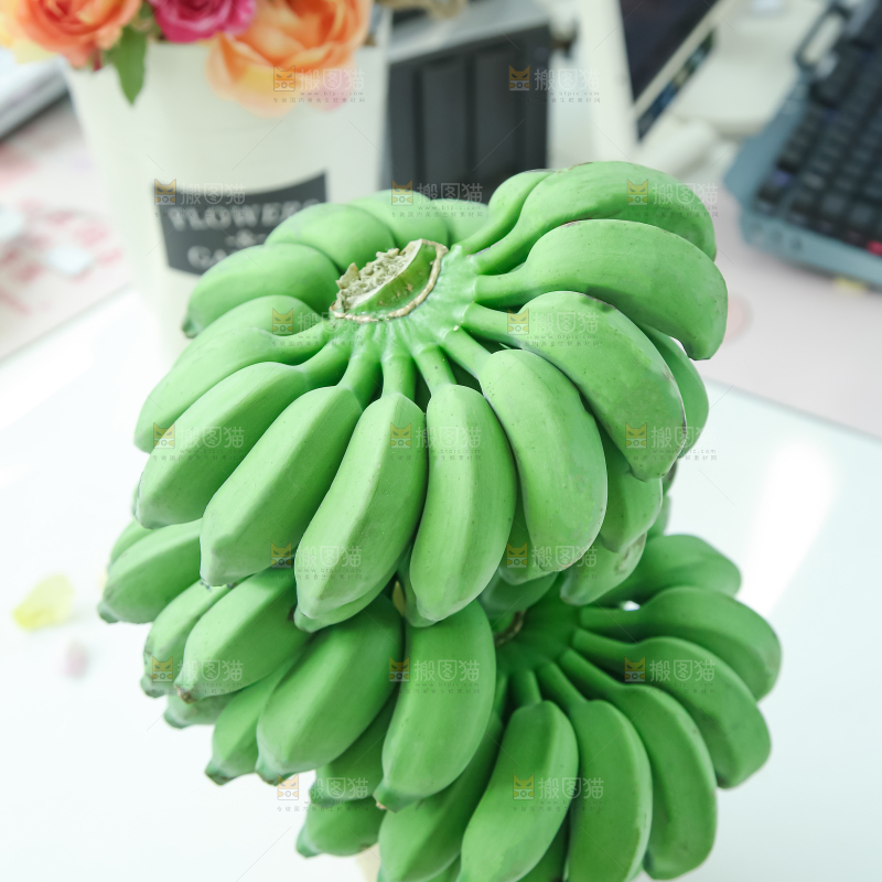 水培香蕉