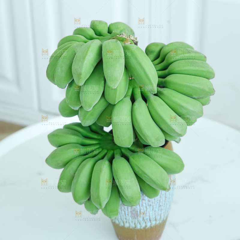 水培香蕉