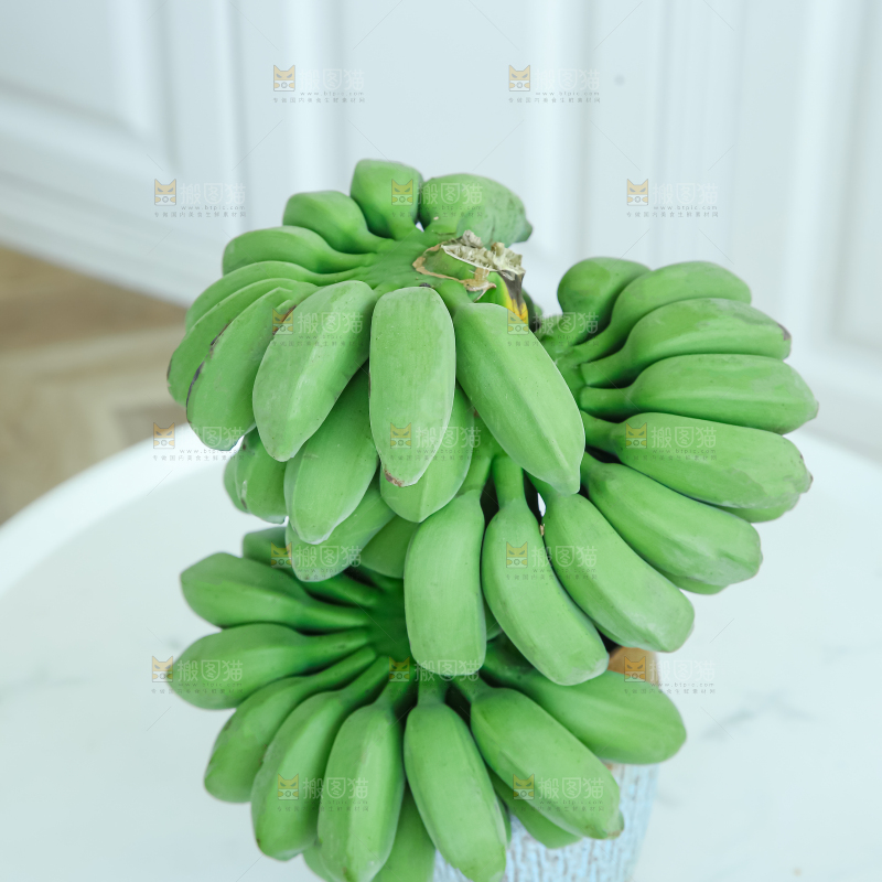 水培香蕉