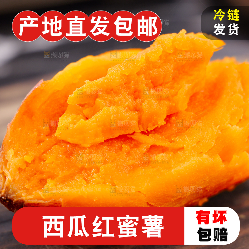 西瓜红蜜薯