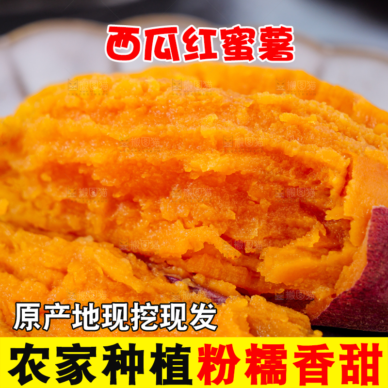 西瓜红蜜薯