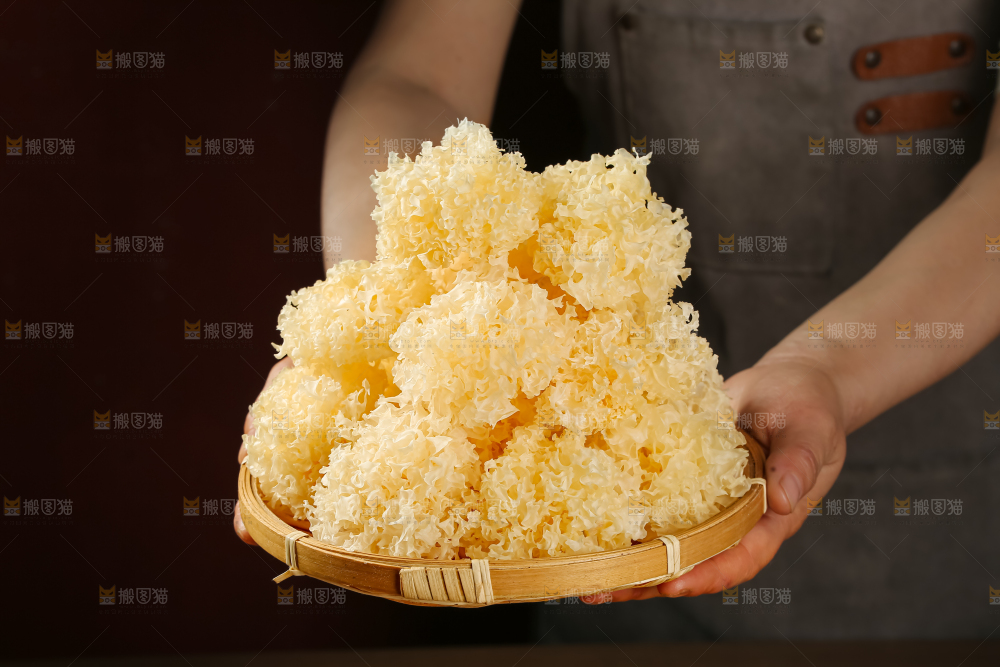 小银耳