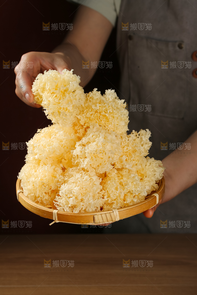 小银耳