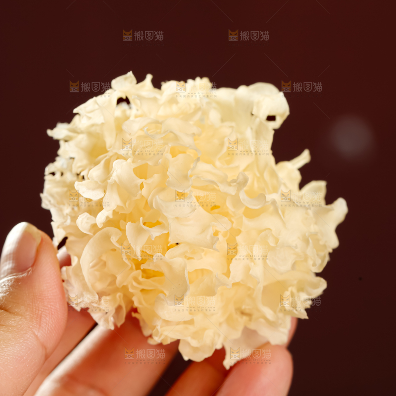 小银耳