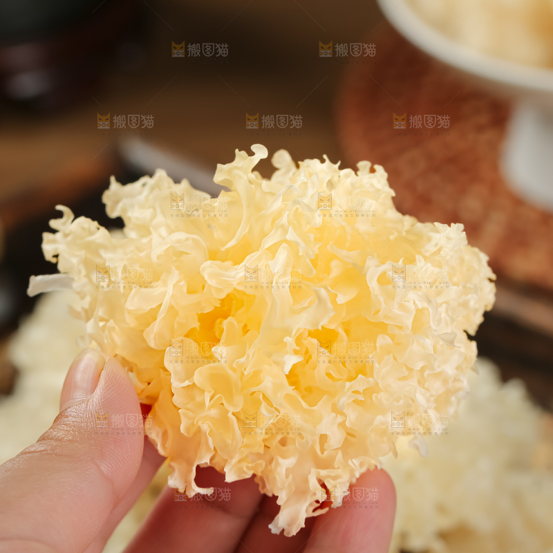 小银耳