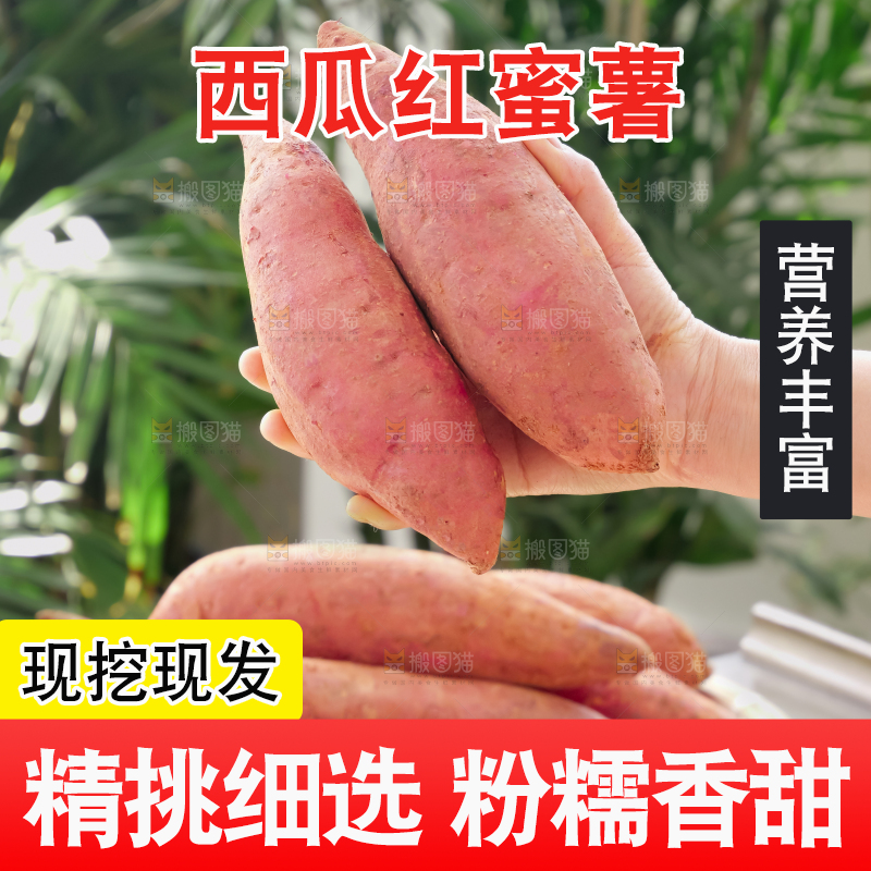 西瓜红蜜薯