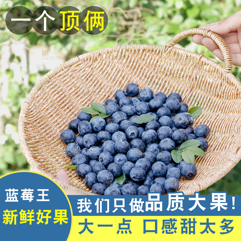 蓝莓
