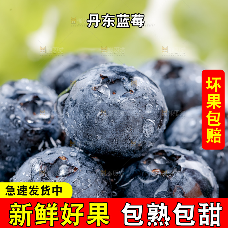蓝莓