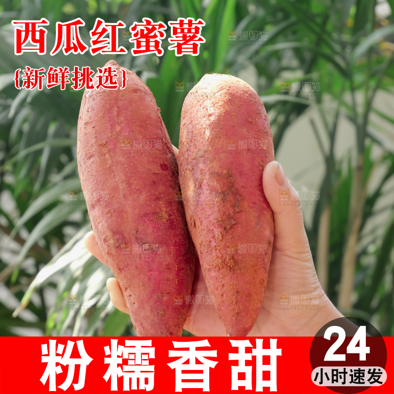 西瓜红蜜薯