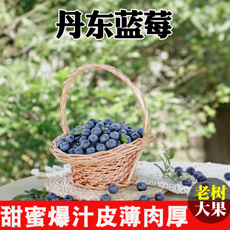 蓝莓