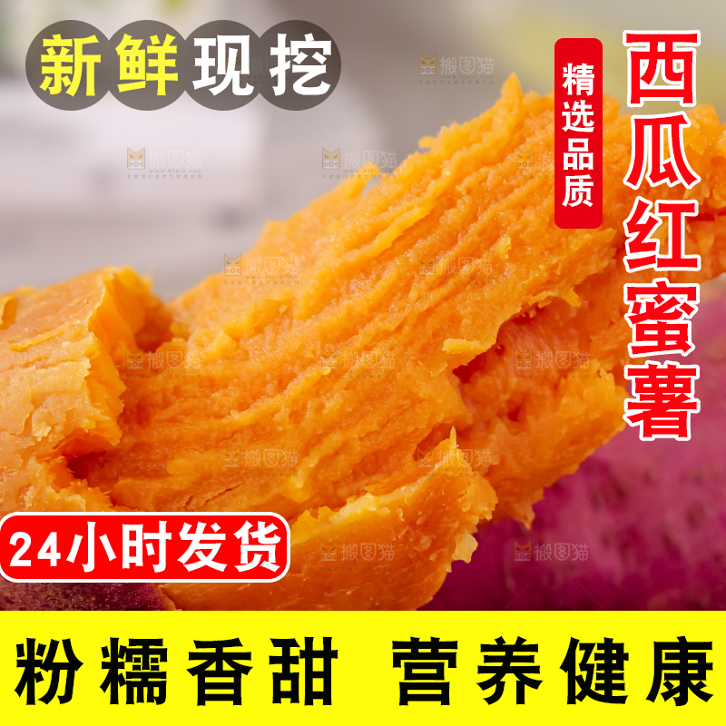 西瓜红蜜薯