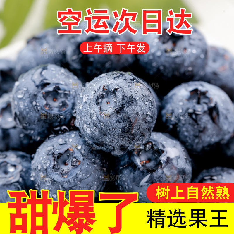 蓝莓