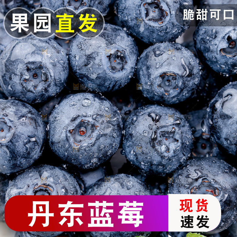 蓝莓
