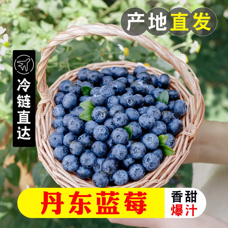 蓝莓