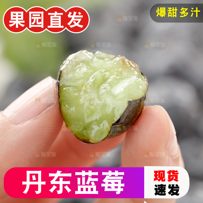 蓝莓
