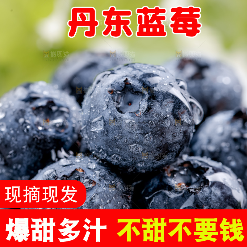 蓝莓