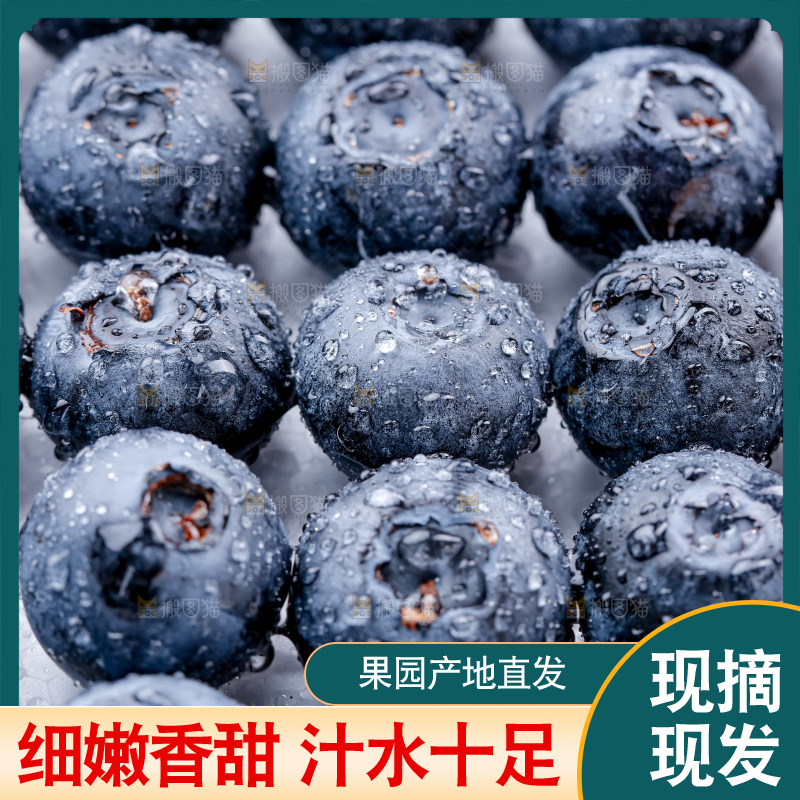 蓝莓